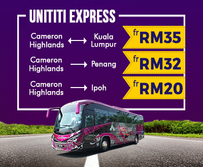 Bus From Penang To Cameron Highlands